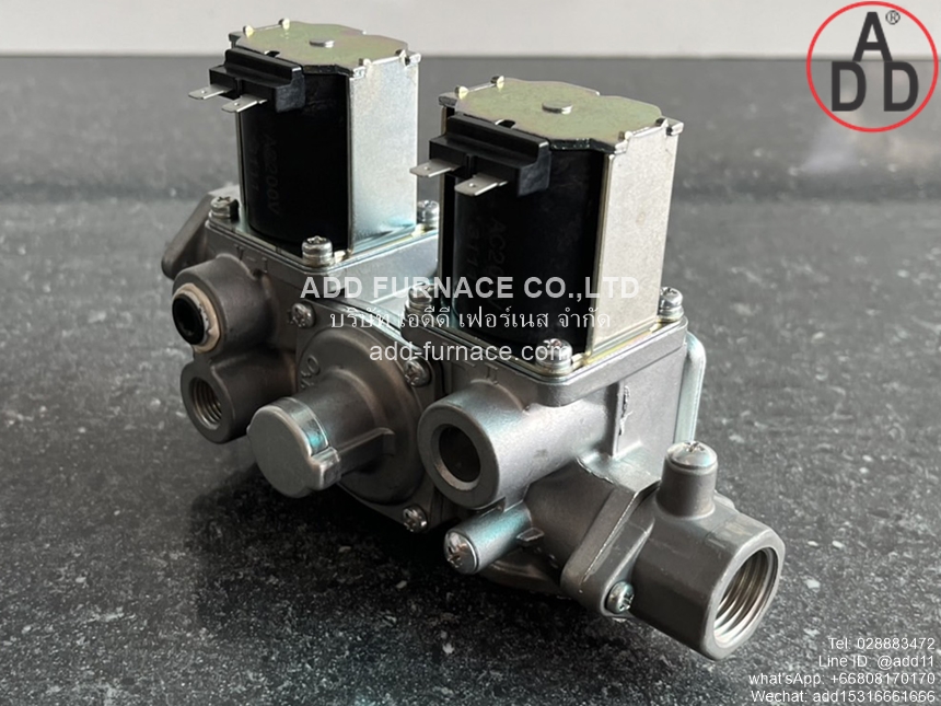WS-102-100 AC200V (4)